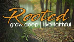 Rooted