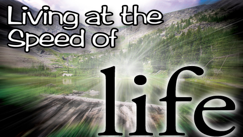 Living at the Speed of Life